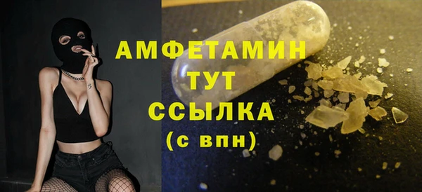 прущие грибы Пересвет