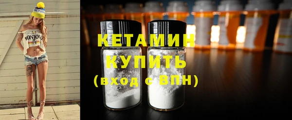 прущие грибы Пересвет