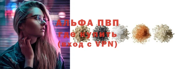 МДПВ Бородино
