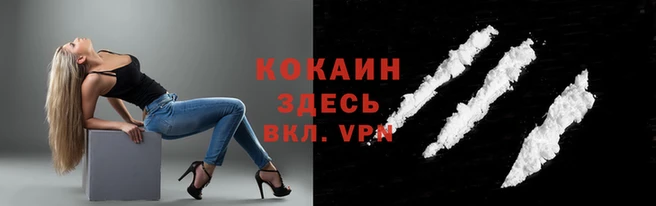 прущие грибы Пересвет