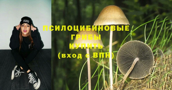 МДПВ Бородино