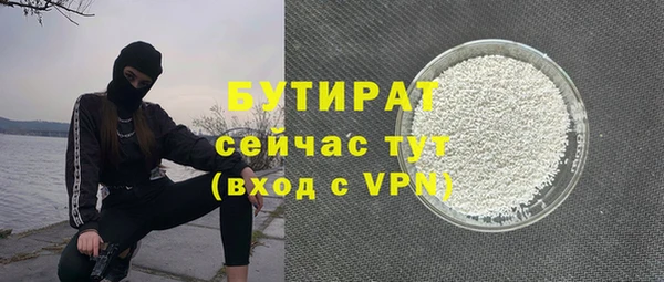 МДПВ Бородино
