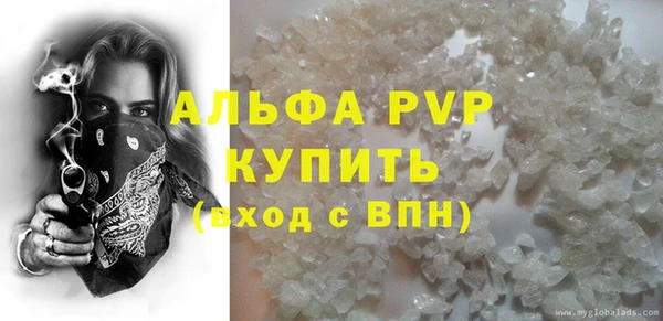прущие грибы Пересвет