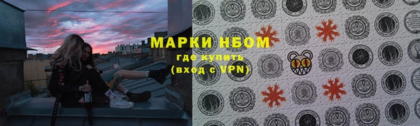 прущие грибы Пересвет