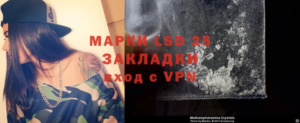 прущие грибы Пересвет