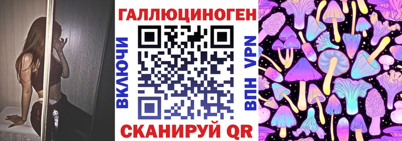где найти наркотики  Бузулук  Галлюциногенные грибы Psilocybine cubensis 
